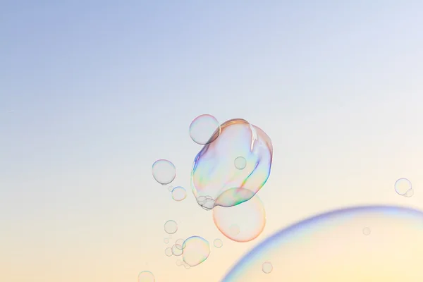 Bubbels — Stockfoto