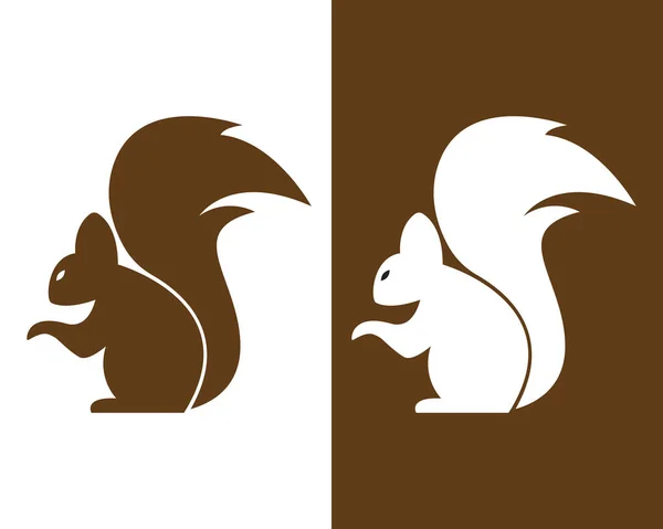Esquilo Logotipo Modelo Ilustração Design — Vetor de Stock