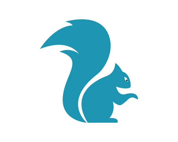 Esquilo Logotipo Modelo Ilustração Design —  Vetores de Stock