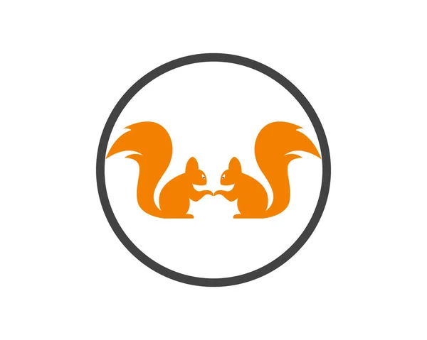 Modèle Logo Écureuil Illustration Design — Image vectorielle