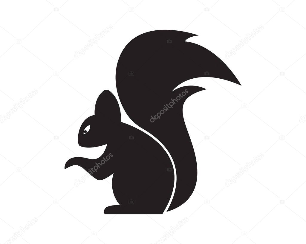 Squirrel logo template illustration design