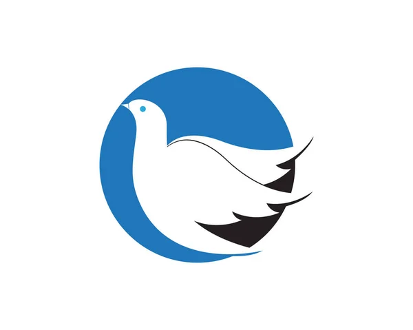Vogelflügel Taube Logo Vorlage Vektor Illustration — Stockvektor