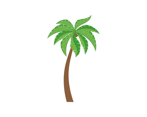 Palm Boom Zomer Logo Template Vector Illustratie — Stockvector