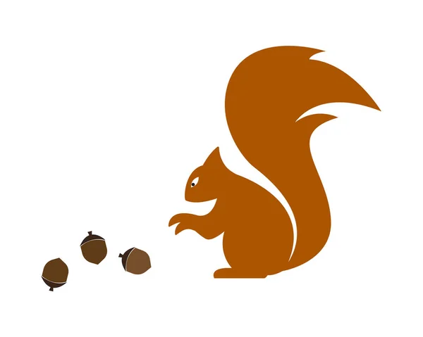 Дизайн Шаблона Логотипа Белки — стоковый вектор