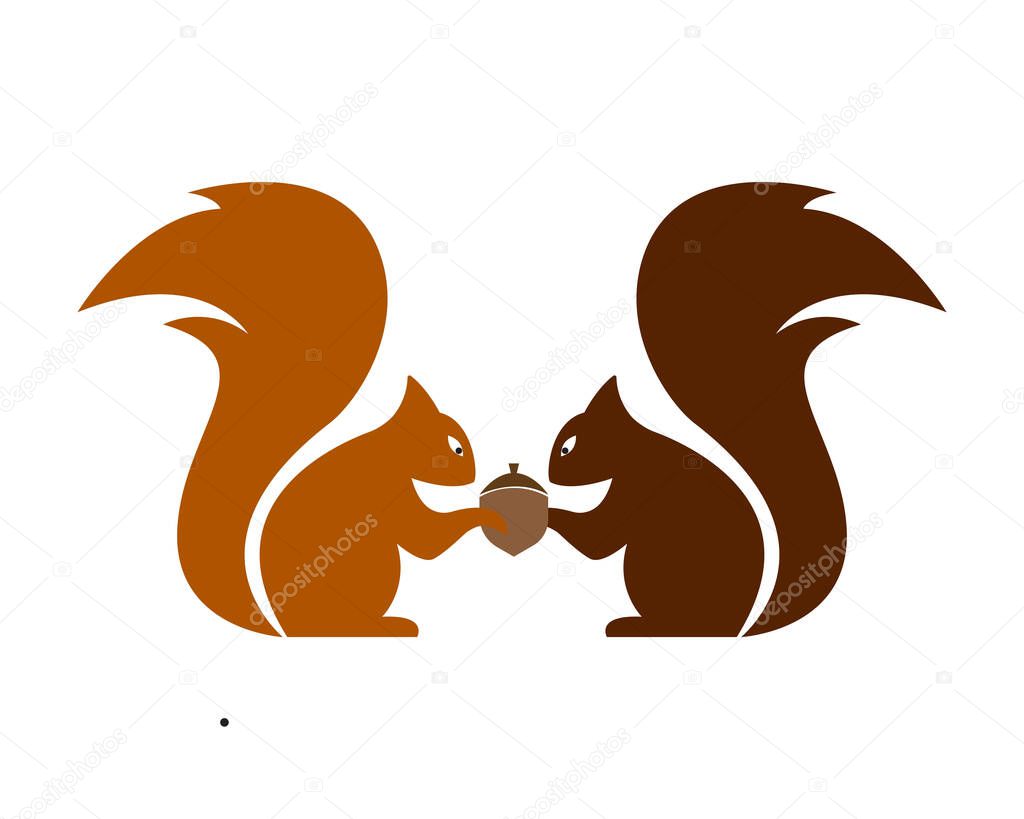 Squirrel logo template illustration design
