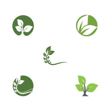 Yaprak Ekolojisi Logo Şablonu Vektör Sembolü Doğayı Ayarla