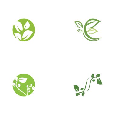 Yaprak Ekolojisi Logo Şablonu Vektör Sembolü Doğayı Ayarla