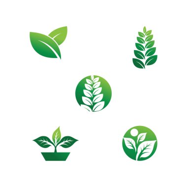 Yaprak Ekolojisi Logo Şablonu Vektör Sembolü Doğayı Ayarla