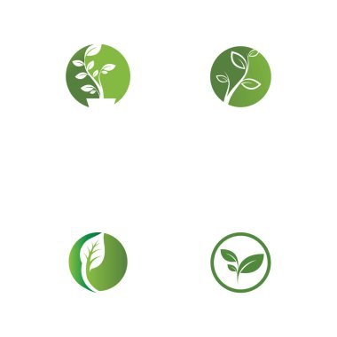 Yaprak Ekolojisi Logo Şablonu Vektör Sembolü Doğayı Ayarla