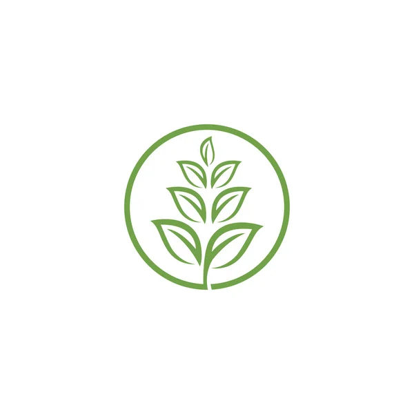 Ecologia Delle Foglie Logo Template Vector Symbol Nature — Vettoriale Stock