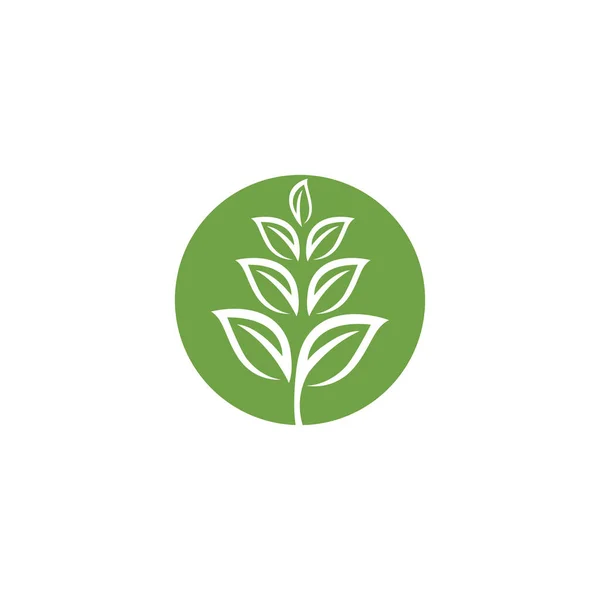 Екологія Листя Логотип Шаблон Векторний Символ Природа — стоковий вектор