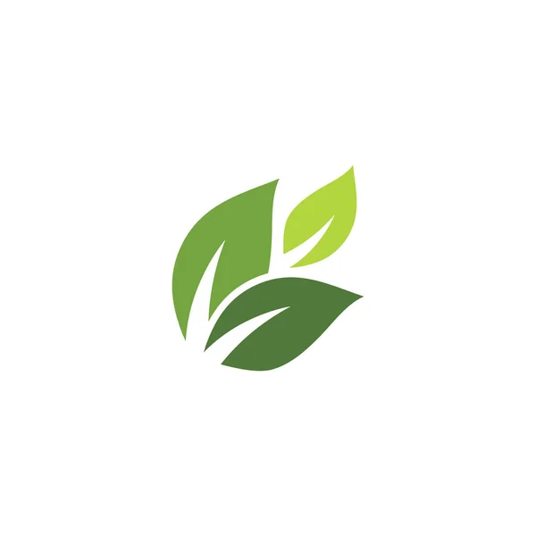 Ecología Hoja Logo Plantilla Vector Símbolo Naturaleza — Vector de stock