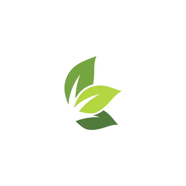 Folha Ecologia Logotipo Modelo Vetor Símbolo Natureza —  Vetores de Stock