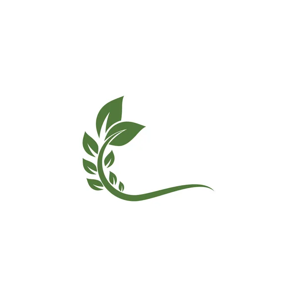 Lembaran Ekologi Logo Templat Vektor Simbol Alam - Stok Vektor