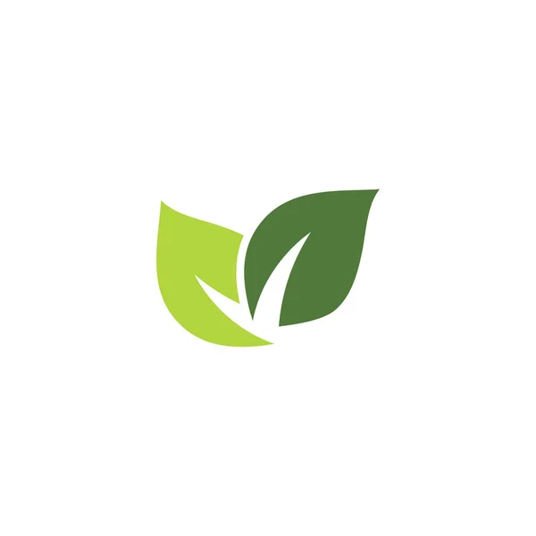 Folha Ecologia Logotipo Modelo Vetor Símbolo Natureza —  Vetores de Stock