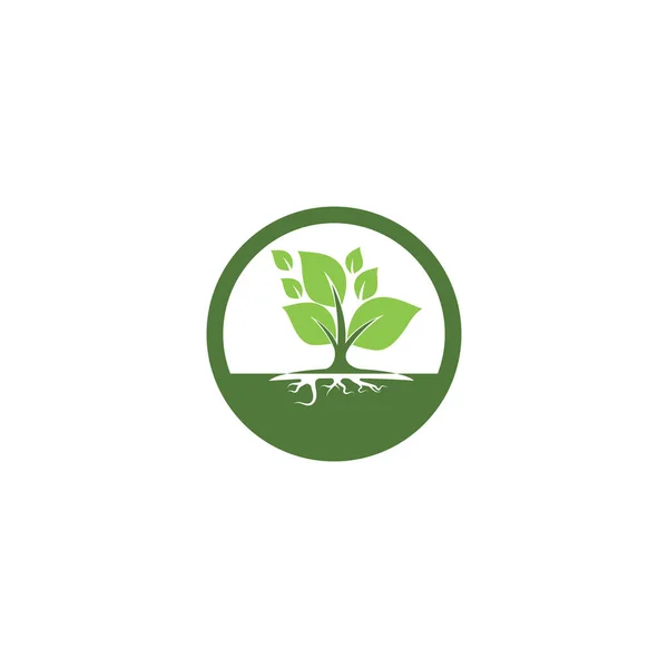 Leaf Economy Logo Template Vector Symboic — 스톡 벡터