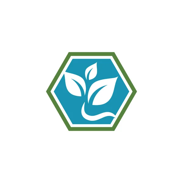 Folha Ecologia Logotipo Modelo Vetor Símbolo Natureza —  Vetores de Stock