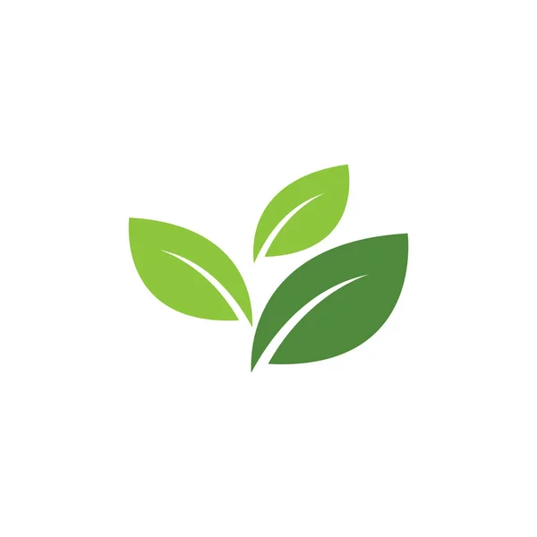 Folha Ecologia Logotipo Modelo Vetor Símbolo Natureza — Vetor de Stock