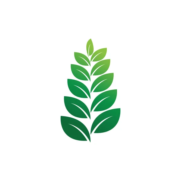 Folha Ecologia Logotipo Modelo Vetor Símbolo Natureza —  Vetores de Stock