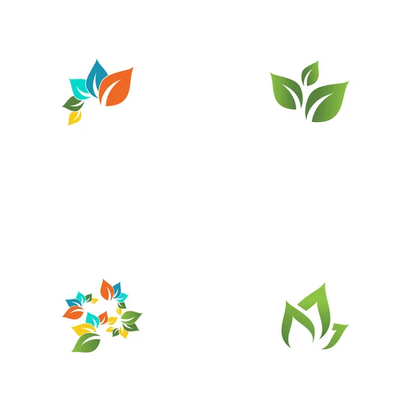 Conjunto Folha Ecologia Logo Modelo Vetor Símbolo Natureza — Vetor de Stock