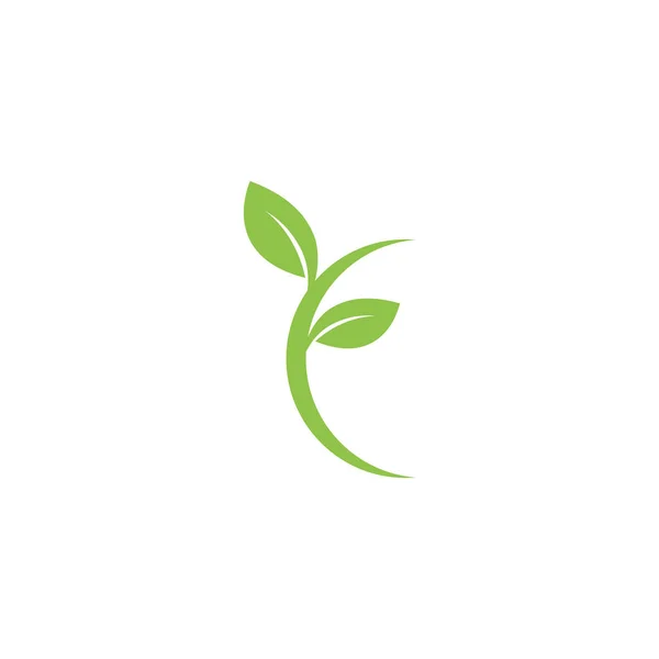 Folha Ecologia Logotipo Modelo Vetor Símbolo Natureza —  Vetores de Stock