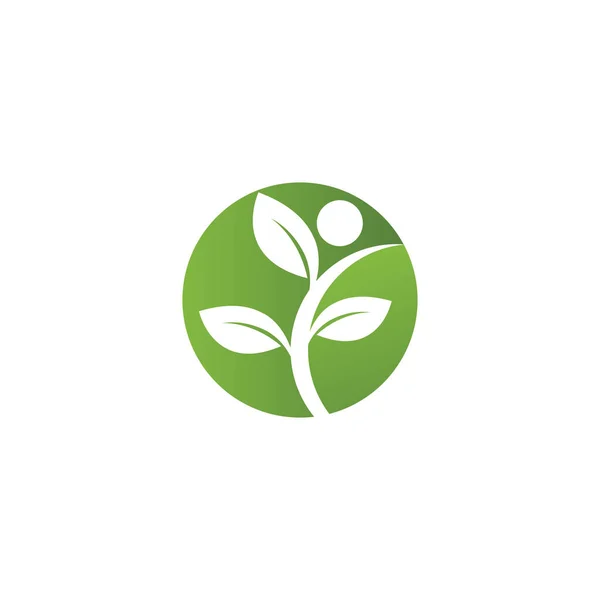 Ekologie Listů Logo Šablona Vektorový Symbol Příroda — Stockový vektor