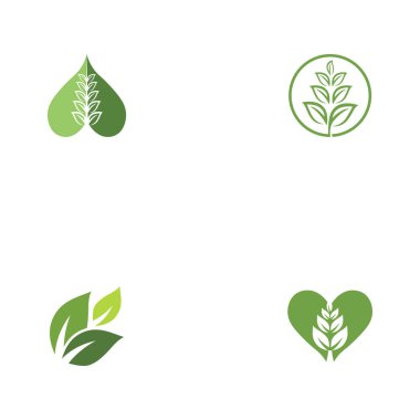 Yaprak Ekolojisi Logo Şablonu Vektör Sembolü Doğayı Ayarla