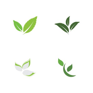 Yaprak Logo Şablonu vektör sembolü doğa