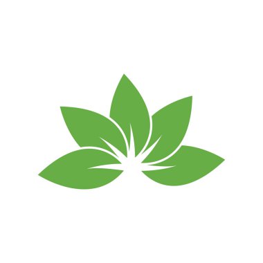 Yaprak Logo Şablonu vektör sembolü doğa