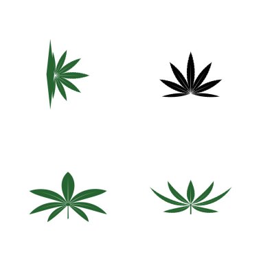 Kenevir Logo Şablonu Vektör Kümesi 