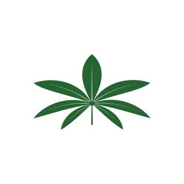 kenevir yaprağı illüstrasyonu, yeşil simge 