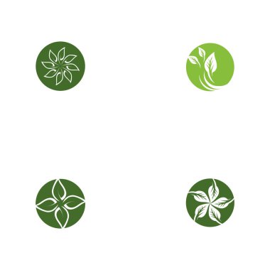 Yaprak Ekolojisi Logo Şablonu Vektör Sembolü Doğayı Ayarla