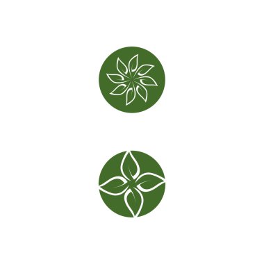 Yaprak ekolojisi logo şablonu vektör sembolü doğa