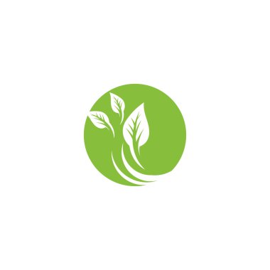 Yaprak ekolojisi logo şablonu vektör sembolü doğa