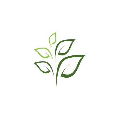 Yaprak ekolojisi logo şablonu vektör sembolü doğa