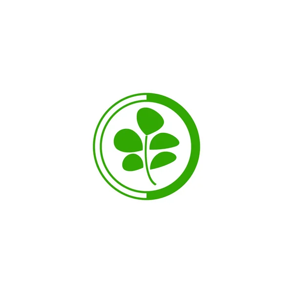 Moringa Blad Logo Template Vector Symbool Natuur — Stockvector