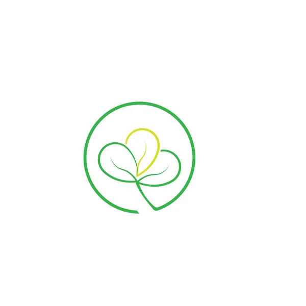 Moringa Folha Logo Template Vetor Símbolo Natureza — Vetor de Stock