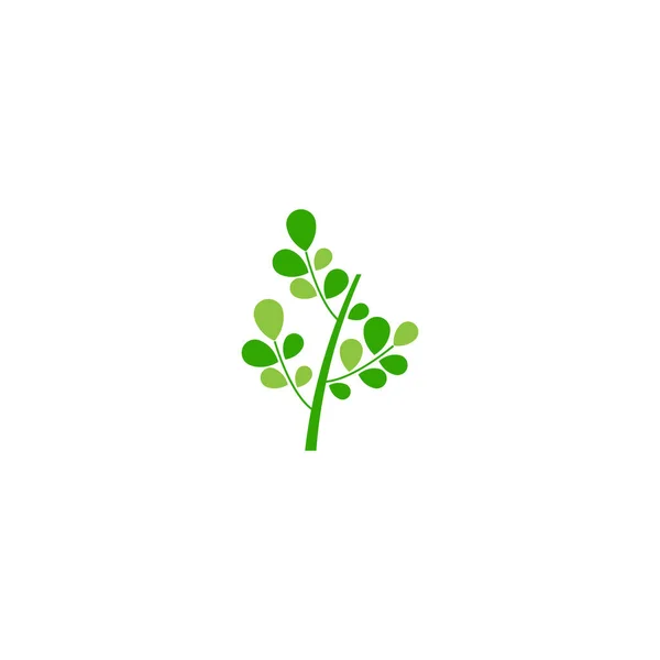 モリンガの葉のロゴテンプレートベクトル自然 — ストックベクタ