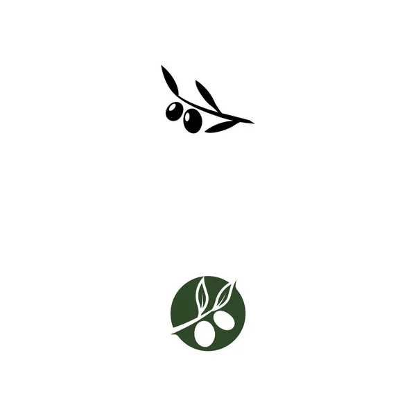 Olive Symbol Vektor Illustration Design Vorlage — Stockvektor