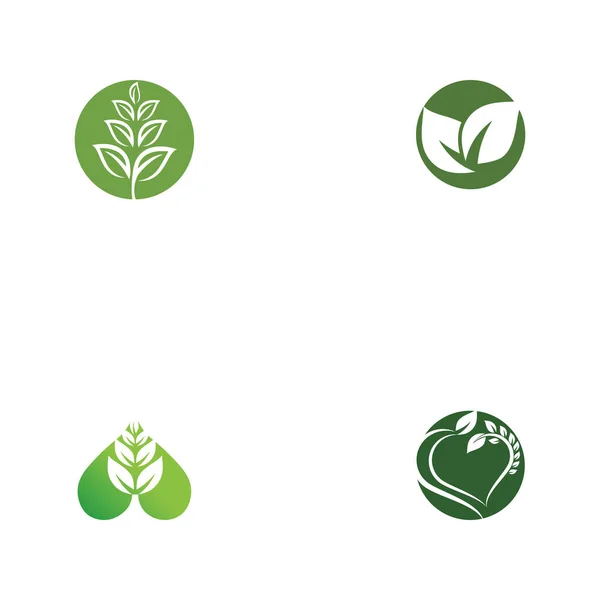 Set Foglia Ecologia Logo Modello Vettoriale Simbolo Natura — Vettoriale Stock
