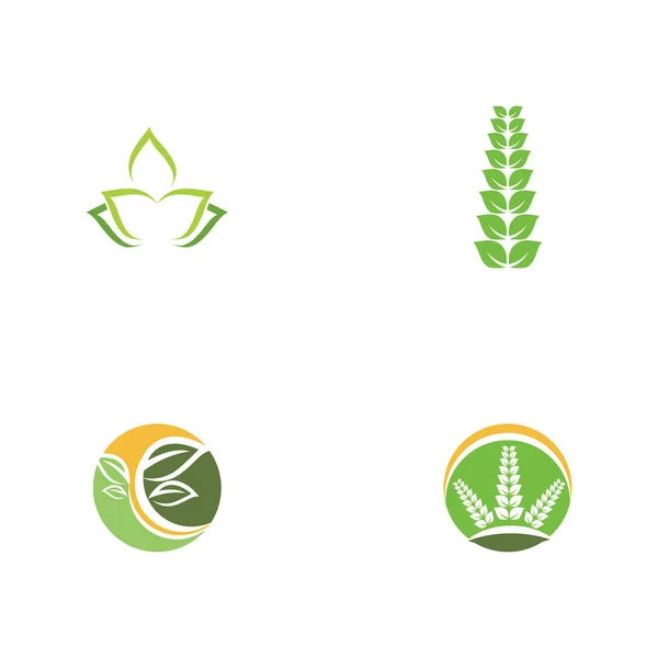 Set Hoja Ecología Logo Plantilla Vector Símbolo Naturaleza — Archivo Imágenes Vectoriales