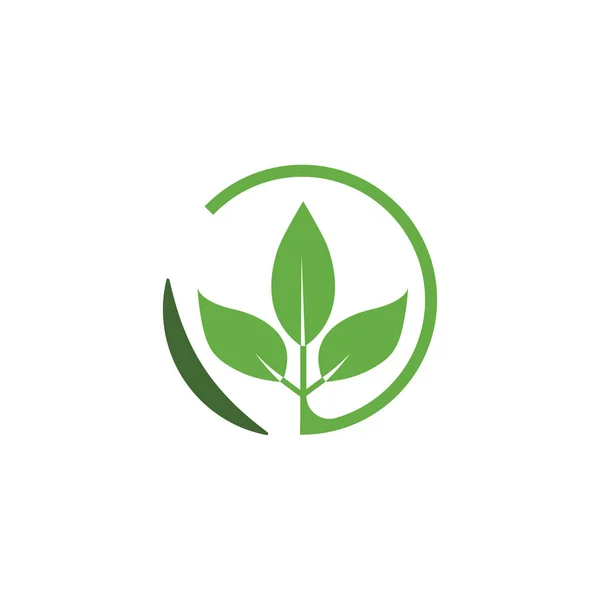 Folha Logotipo Modelo Vetor Símbolo Natureza — Vetor de Stock