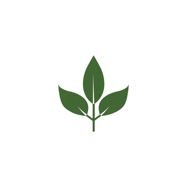 Yaprak Logo Şablonu Vektör Sembolü Doğa — Stok Vektör