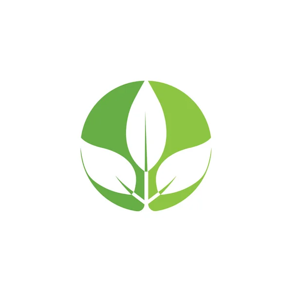 Blatt Logo Vorlage Vektor Symbol Natur — Stockvektor