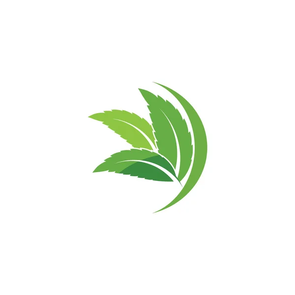 Leaf Logo Template Vector Symboic — 스톡 벡터