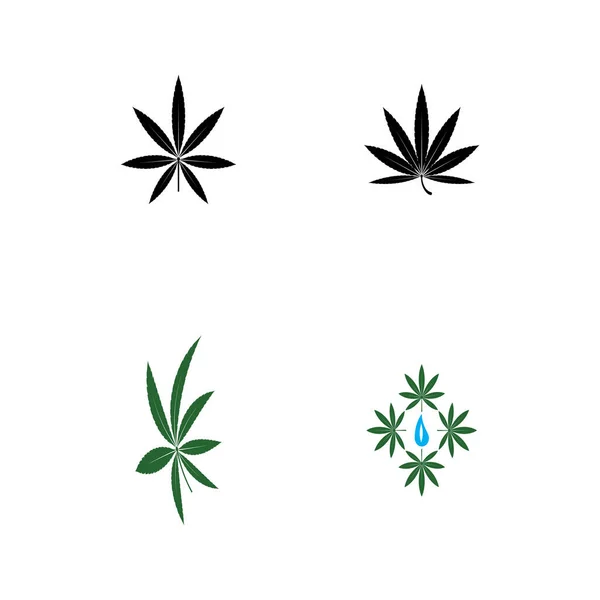 Conjunto Vetores Modelo Logotipo Cannabis — Vetor de Stock