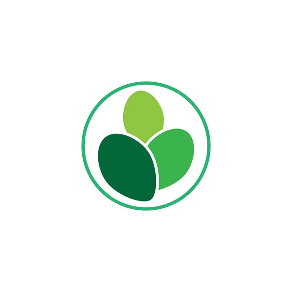 Moringa Feuille Logo Modèle Vectoriel Symbole Nature — Image vectorielle