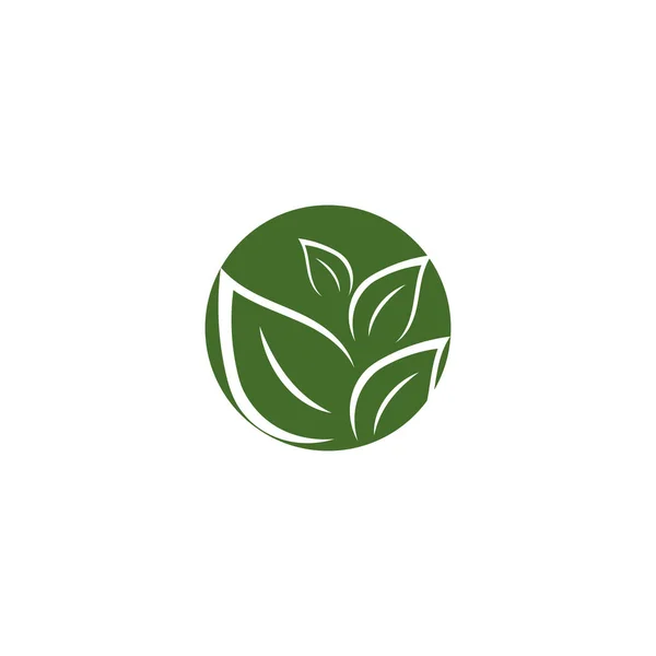 葉生態ロゴテンプレートベクトル自然 — ストックベクタ