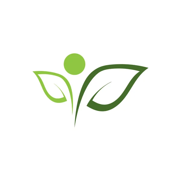 Yaprak Ekolojisi Logo Şablonu Vektör Sembolü Doğa — Stok Vektör
