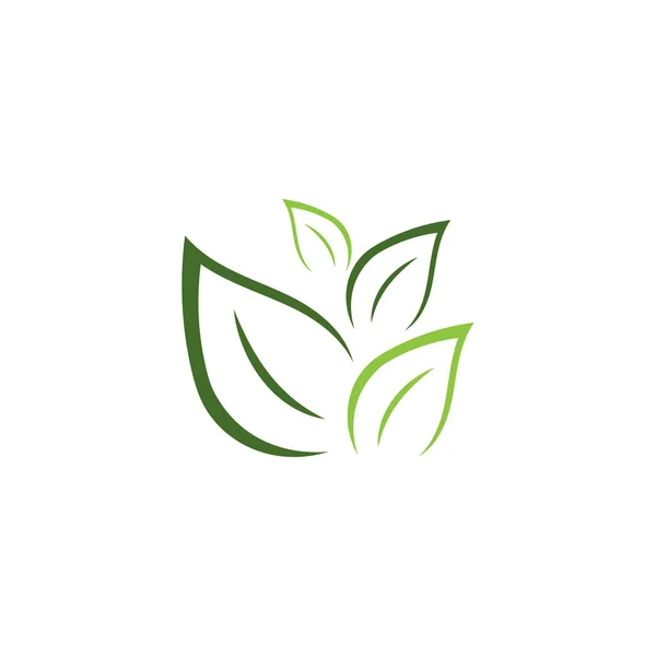Lembaran Ekologi Logo Templat Vektor Simbol Alam - Stok Vektor
